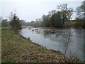 River Stour, Dorset in BH9 3NQ