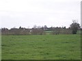 Looking over Pasture to Overton in GL2 8HT