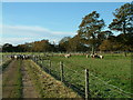 Battramsley farm field and track, New Forest in SO41 8NL