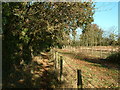 Footpath near Sway Road, New Forest in SO41 8LR