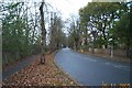 Bushey: The Avenue in WD23 2LQ