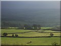 Dutch Barn, near Monsal Head in Little Longstone