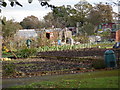 Allotment Gardens at Hatchford Brook, Sheldon in B92 9DS