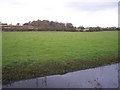 Apperley Grove from Coombe Hill Canal in GL19 4DY
