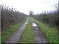 Farm Track to Mordon's Wood in GL2 9LT