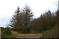Forest track on Clach Mackenny in G84 0RL