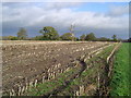 Harefield: Stubble field, Hill End in UB9 6PF