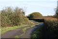 Track to Treble House Farm in BS21 6UY