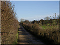 Track, east of Kings Worthy in SO23 7NL