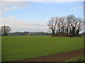 Farmland - Willerby Low Road in HU10 6ED