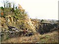 Hockley Quarry, Fall Hill in S45 0BD