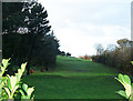 Castlehawk Golf Club, Castleton in OL11 3BN