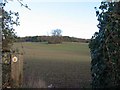 Fields near Cefn Mably in CF14 0HY