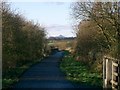 Cycleway in Blairhall