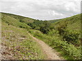 Top of Hodders Combe near Lady's Edge in TA5 1SG