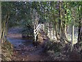 Footbridge over the River Laver in HG4 3RD