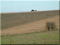 Farmland, Broad Chalke in SP5 5BW