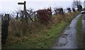 Footpath to Wood Farm. in Blindbothel