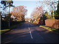 Road to deep spinney in MK40 4WF