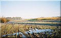 Maize field near Springfield Farm in RG9 6ND