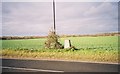 Farmland and trig point, northern edge of Maidenhead in SL6 6SG