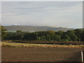 ploughed field near Beechingstoke in SN9 6HJ