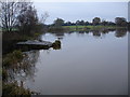 Seeswood Pool Weir under the B4102 near to Arbury Nuneaton in CV10 8NU