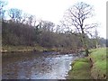 River Wharfe in BD23 5BT