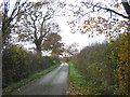 A country lane, Abridge in RM4 1AB