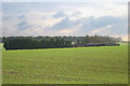 View across fields to Flint Farm in SP11 7PW