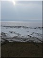 Saltmarsh of the Severn Estuary, Redwick in NP26 3DT