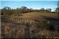 Edgwarebury: Pasture in WD6 3RG