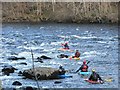 Canoeists on the Tay in PH1 4NG