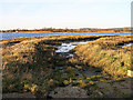 Disused slipway, Bosham in PO18 8NP