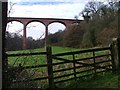 Riftswood Viaduct in TS12 1LT