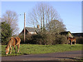 Ponies grazing at the junction of Wittensford Lane and Kewlake Lane in Ashurst, Bramshaw, Copythorne & Netley Marsh Ward