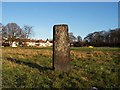 Standing Stone, Carr Manor Field in LS6 4PW