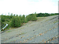 Spoil heap north of the former Grange Colliery in TF2 7NA