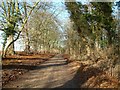 The Bridleway to Chalgrove in OX49 5NT