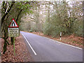 Un-named lane to Emery Down from the A337, New Forest in SO43 7AY