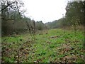 West Wood in Knotting and Souldrop