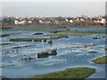 London Wetland Centre in SW13 8DY