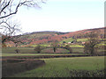 Higher Halsway and Halsway Manor from Heddon Oak in TA4 4AY