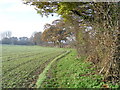 Letchmore Heath: The footpath to Patchetts Green in WD25 8HE