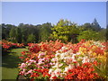 The Azalea Garden at Hazlehead Park in AB15 8BE