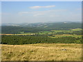 View of Deeside from Corsedardar Hill in AB31 6NW