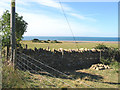 Restored dry stone wall, Langton Herring in DT3 4JF