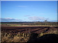 Ploughed Fields in Arbroath East and Lunan Ward
