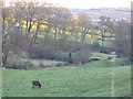 Valley of Lumb Dike with Fenay Bridge in the background. in HD4 6SH