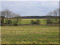 Farmland, Southorpe, Peterborough in Southorpe